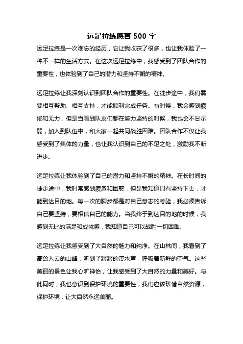 远足拉练感言500字