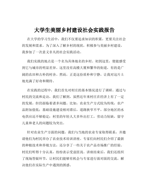 大学生美丽乡村建设社会实践报告