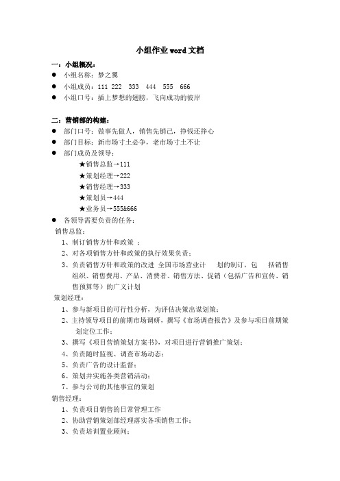 市场营销小组作业WORD文档