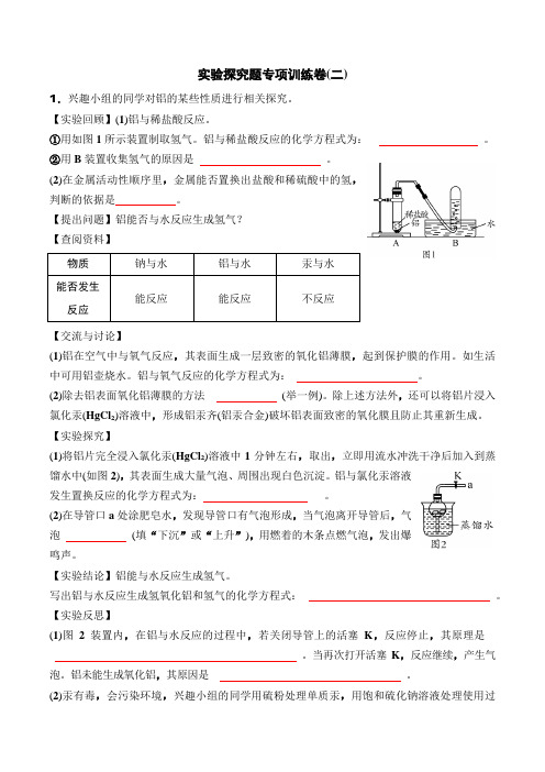 2021年春人教版九年级化学中考专题复习知识点过关专练   实验探究题专项训练卷(二)