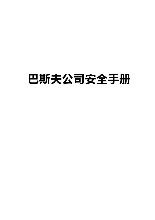 巴斯夫安全手册(中英文对照版)