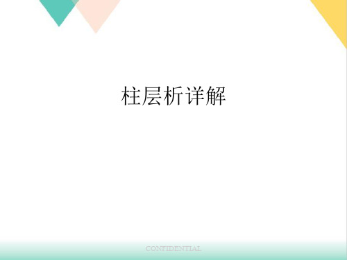 柱层析详解PPT.