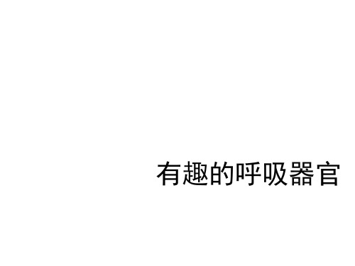 大象版小学科学四年级下册《有趣的呼吸器官》教学课件