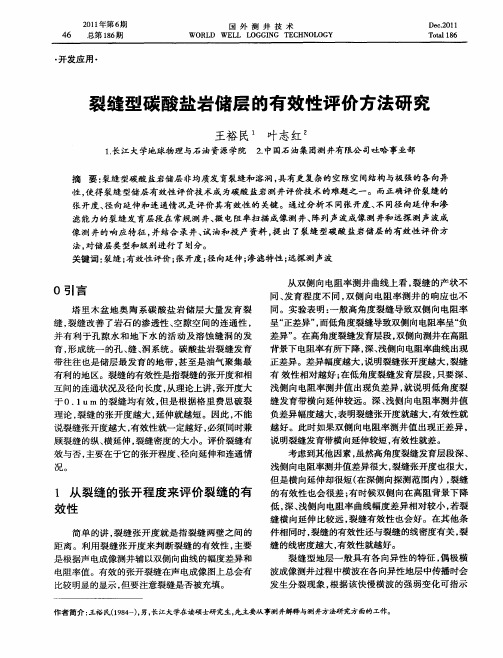 裂缝型碳酸盐岩储层的有效性评价方法研究