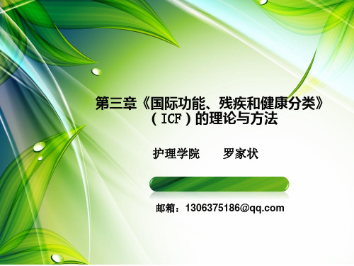 第三章《国际功能、残疾和健康分类》(ICF)的理论与方法汇总