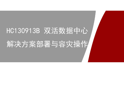 双活数据中心解决方案操作与部署