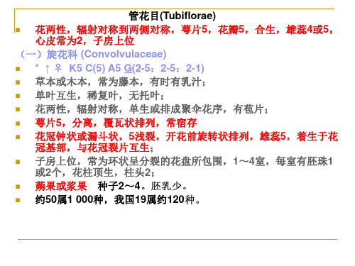 第三十五章 管花目-旋花科