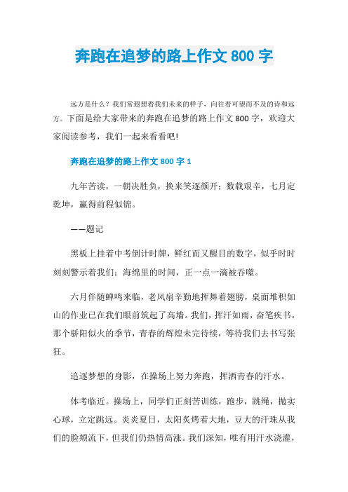 奔跑在追梦的路上作文800字