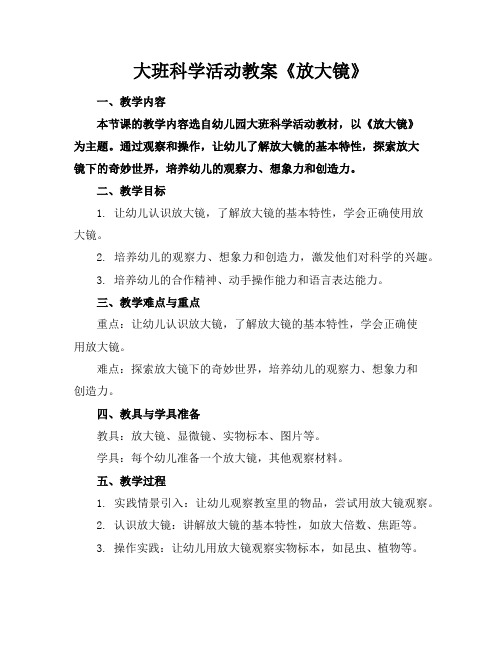 大班科学活动教案《放大镜》