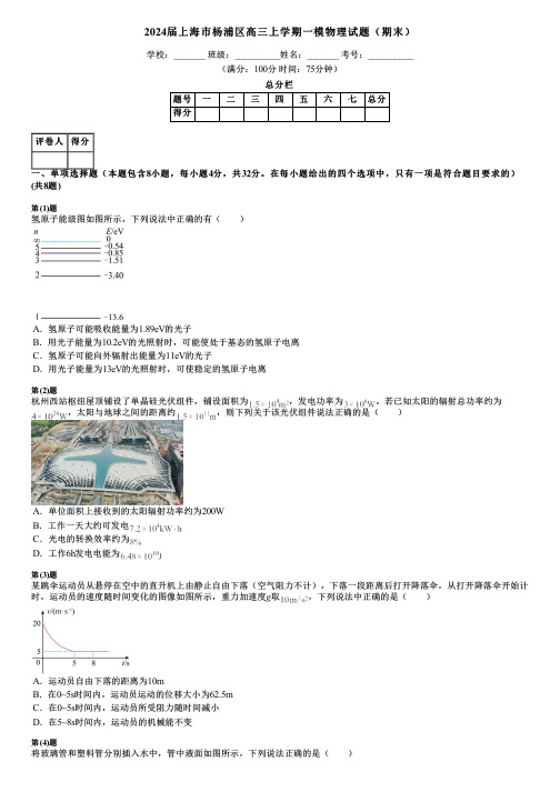 2024届上海市杨浦区高三上学期一模物理试题(期末)