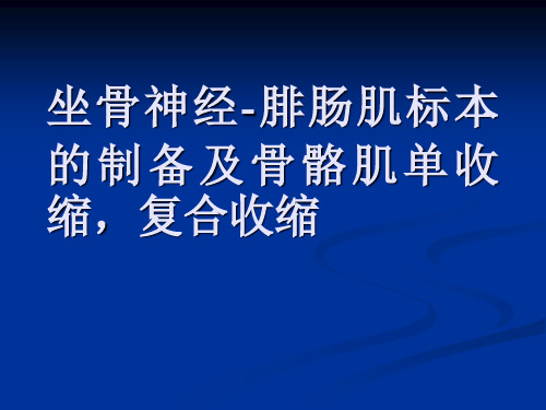 生理实验课件：坐骨神经腓肠肌标本