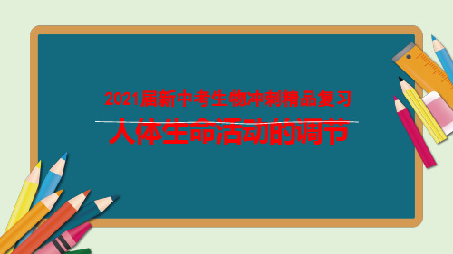 2021届新中考生物冲刺精品复习：人体生命活动的调节