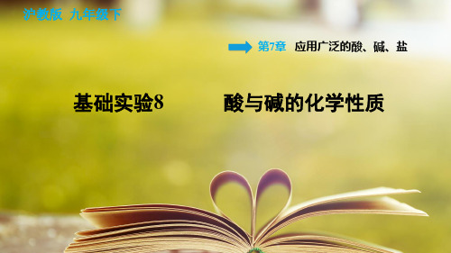 沪教版化学九年级下册第七章《应用广泛的酸、碱、盐》基础实验8 酸与碱的化学性质