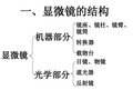 显微镜的结构和使用  (修改完)