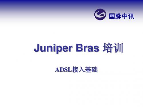 JuniperBras培训