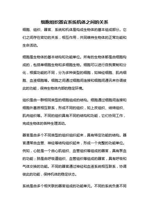 细胞组织器官系统机体之间的关系