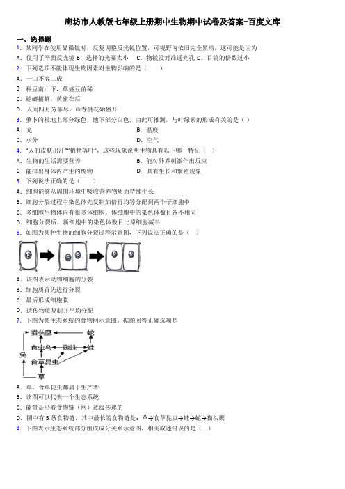 廊坊市人教版七年级上册期中生物期中试卷及答案-百度文库