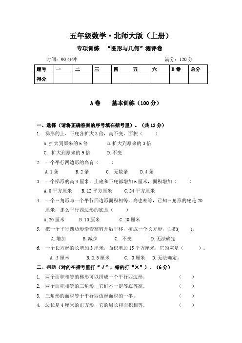 10.小学数学(五上)图形与几何专项训练试卷