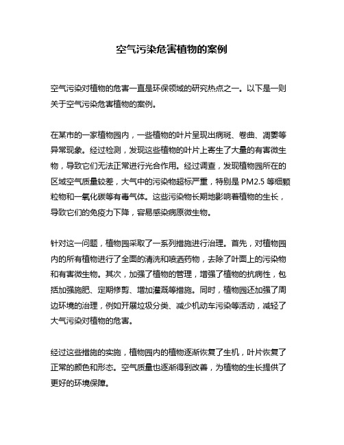 空气污染危害植物的案例