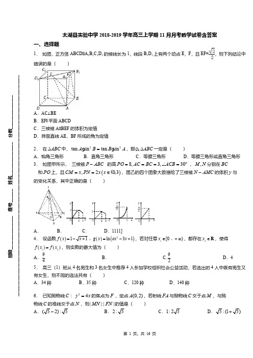 太湖县实验中学2018-2019学年高三上学期11月月考数学试卷含答案
