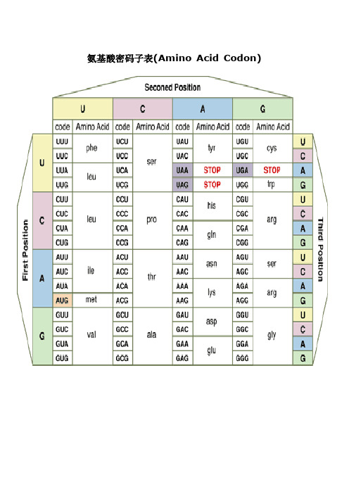 氨基酸简写和密码子表 - 360文档中心