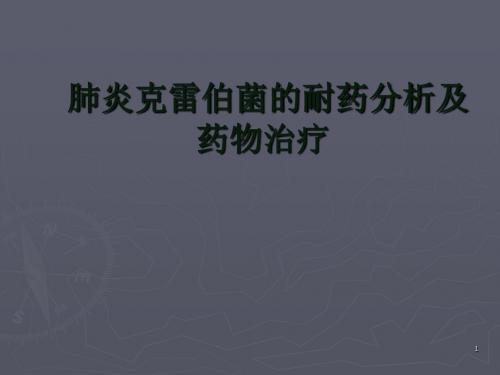 肺炎克雷伯菌的耐药机制及药物治疗ppt课件