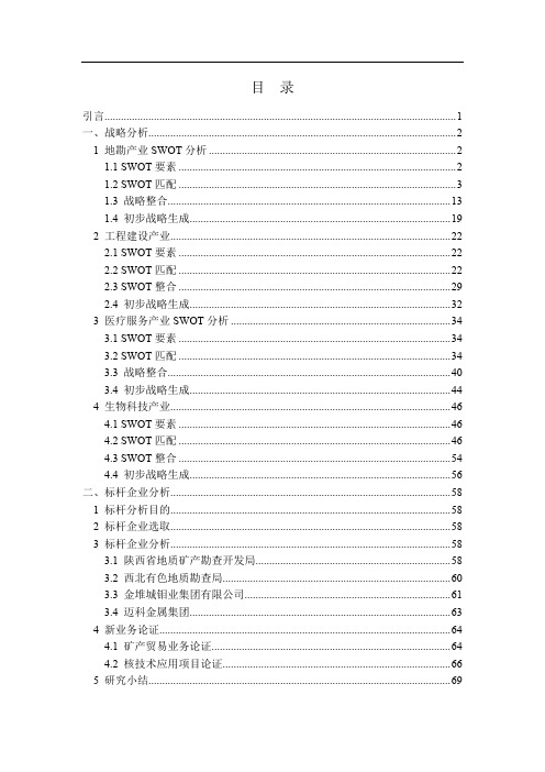 集团公司战略规划报告