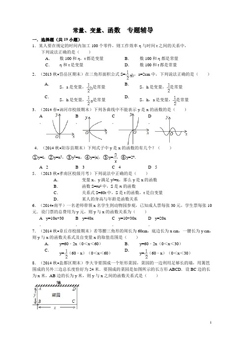 常量、变量、函数  专题辅导