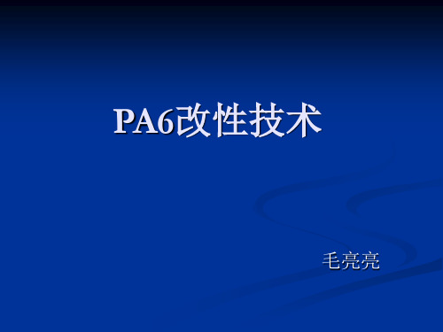 PA6改性