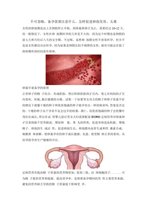 不可忽略,备孕需要注意什么,怎样促进卵泡发育,太难