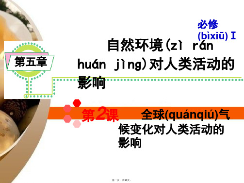 高考地理一轮总复习 第5章第2课 全球气候变化对人类活动的影响课件 新人教版必修1