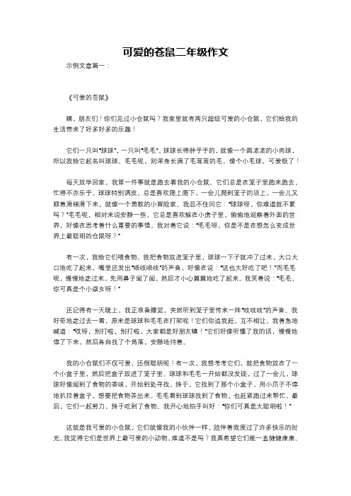 可爱的苍鼠二年级作文