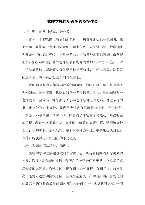 教师学校挂职锻炼的心得体会