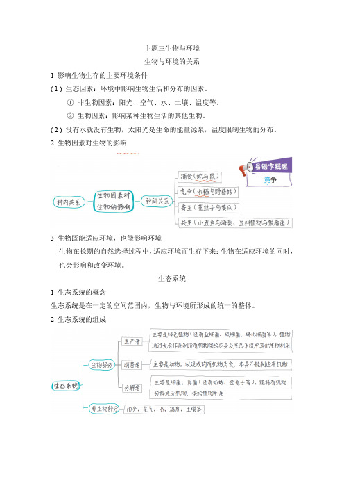 人教版中考生物一轮复习--主题三  生物与环境