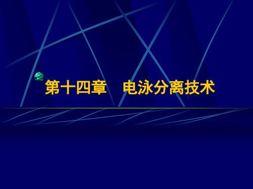 电泳分离技术