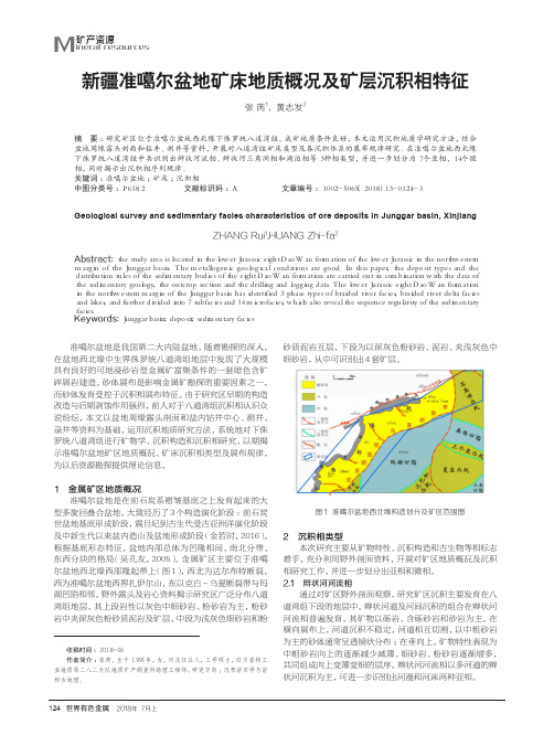 新疆准噶尔盆地矿床地质概况及矿层沉积相特征