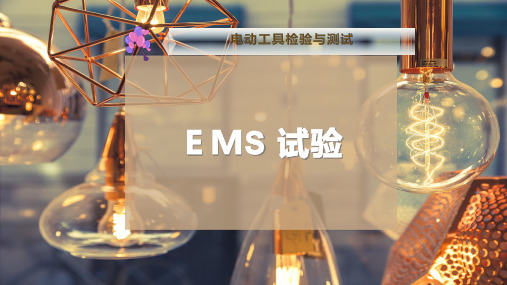 EMS 试验