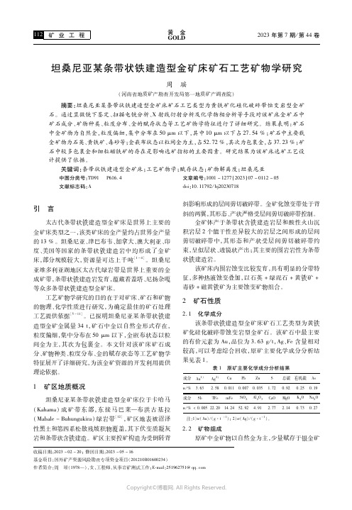 坦桑尼亚某条带状铁建造型金矿床矿石工艺矿物学研究