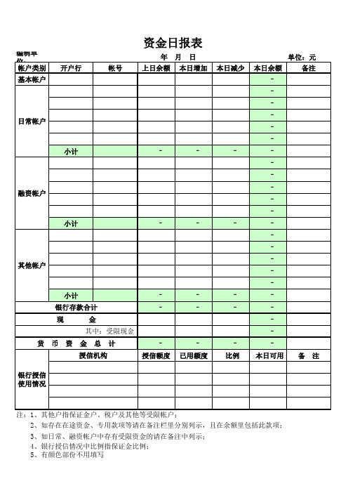 资金日报表样式