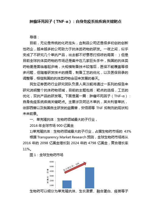 肿瘤坏死因子（TNF-α）：自身免疫系统疾病关键靶点