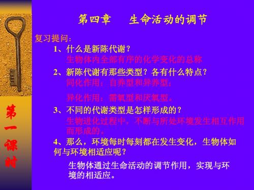 人教版教学课件植物的激素调节课件3