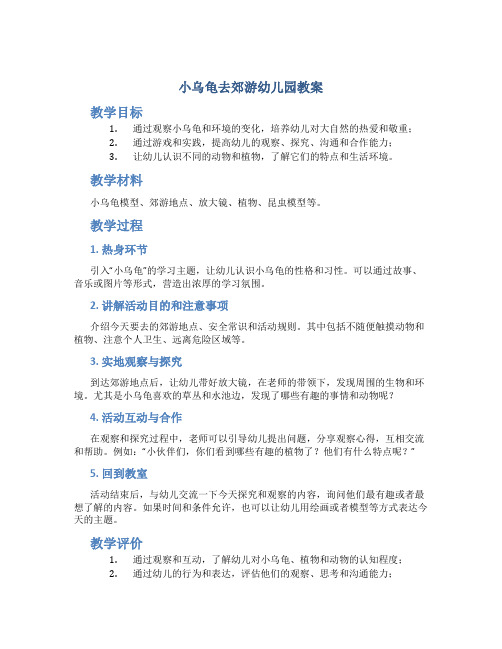 小乌龟去郊游幼儿园教案