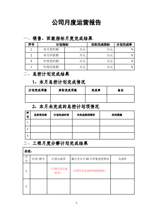 公司月度运营报告模板