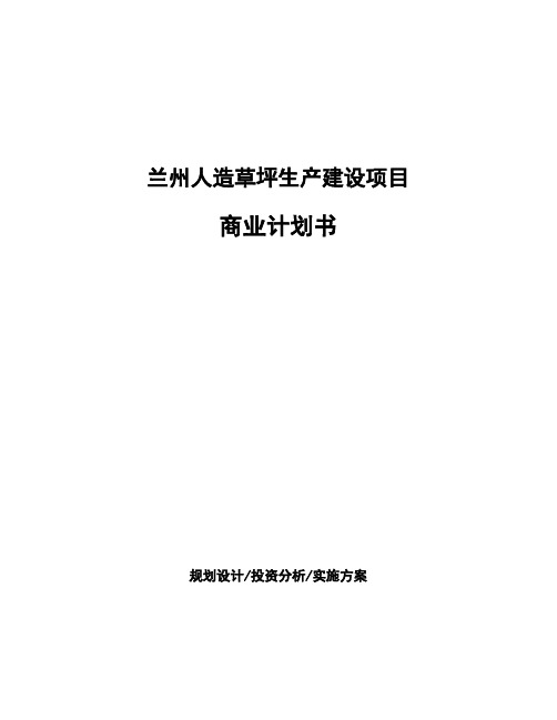 兰州人造草坪生产建设项目商业计划书