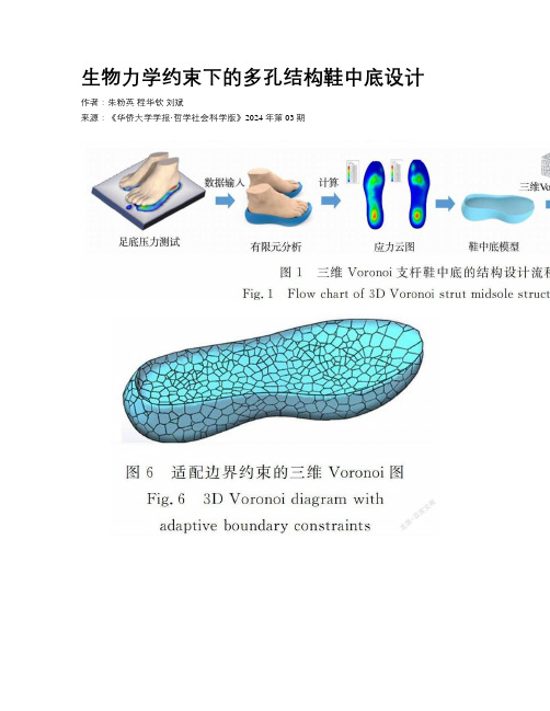 生物力学约束下的多孔结构鞋中底设计