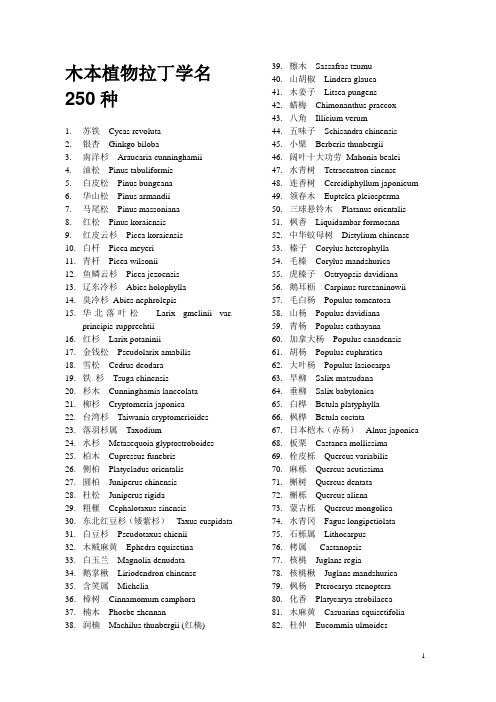 1树木学植物拉丁学名250种