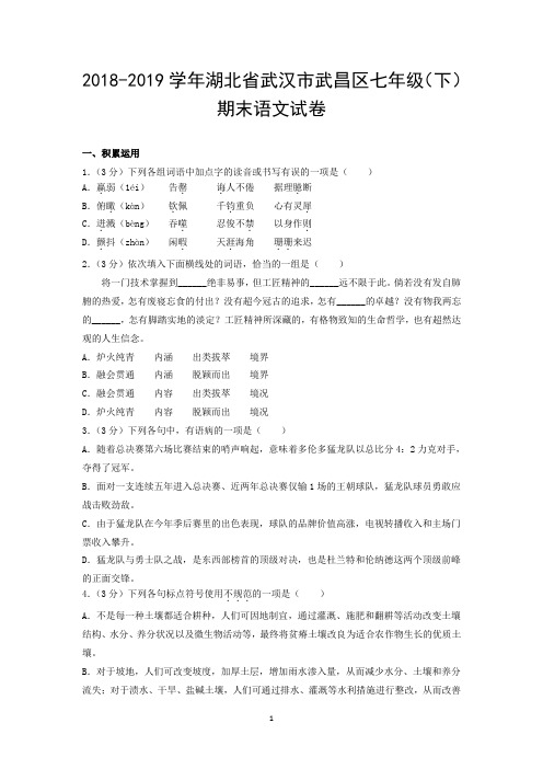 2018-2019学年湖北省武汉市武昌区七年级(下)期末语文试卷