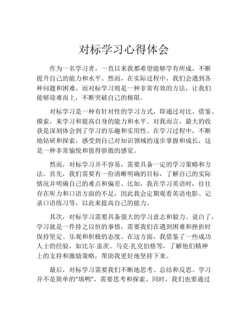 对标学习心得体会