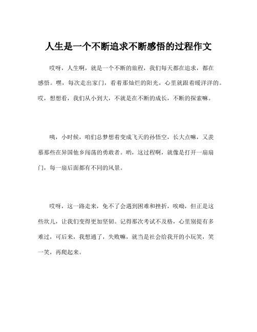 人生是一个不断追求不断感悟的过程作文