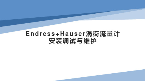 Endress+Hauser涡街流量计安装调试与维护